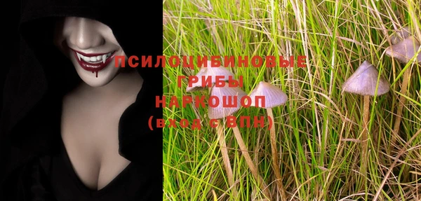 мяу мяу кристалл Арсеньев