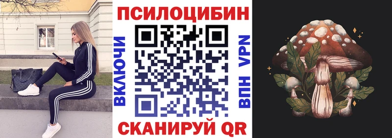 наркота  Покровск  Псилоцибиновые грибы мицелий 